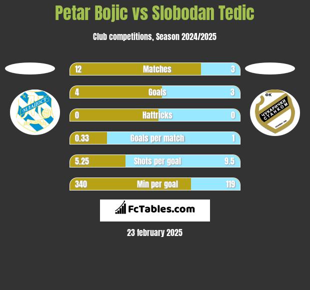 Petar Bojic vs Slobodan Tedic h2h player stats