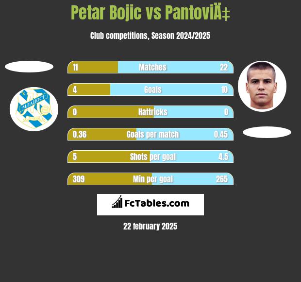 Petar Bojic vs PantoviÄ‡ h2h player stats