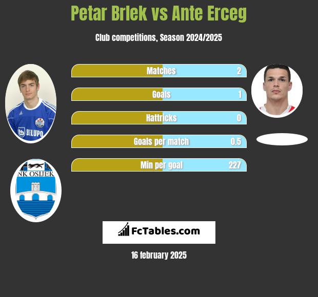 Petar Brlek vs Ante Erceg h2h player stats