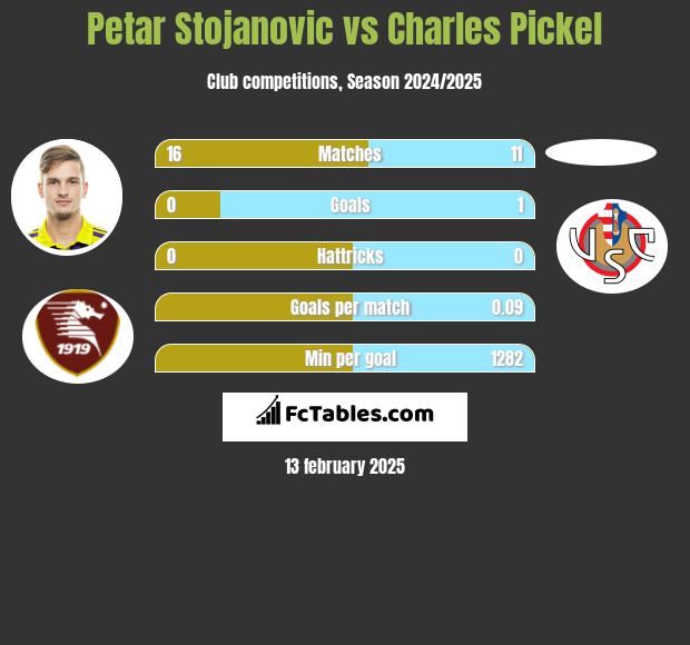 Petar Stojanovic vs Charles Pickel h2h player stats