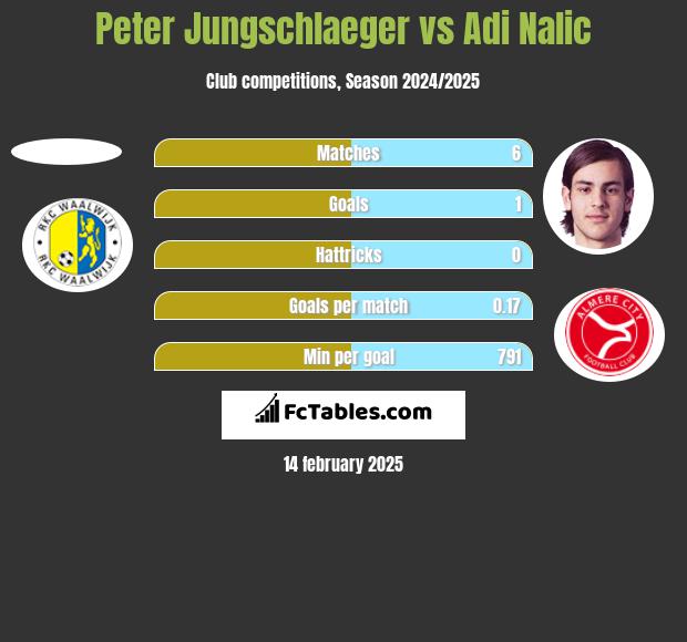 Peter Jungschlaeger vs Adi Nalic h2h player stats