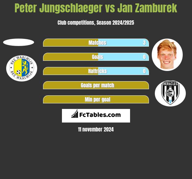 Peter Jungschlaeger vs Jan Zamburek h2h player stats