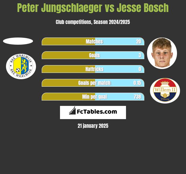 Peter Jungschlaeger vs Jesse Bosch h2h player stats