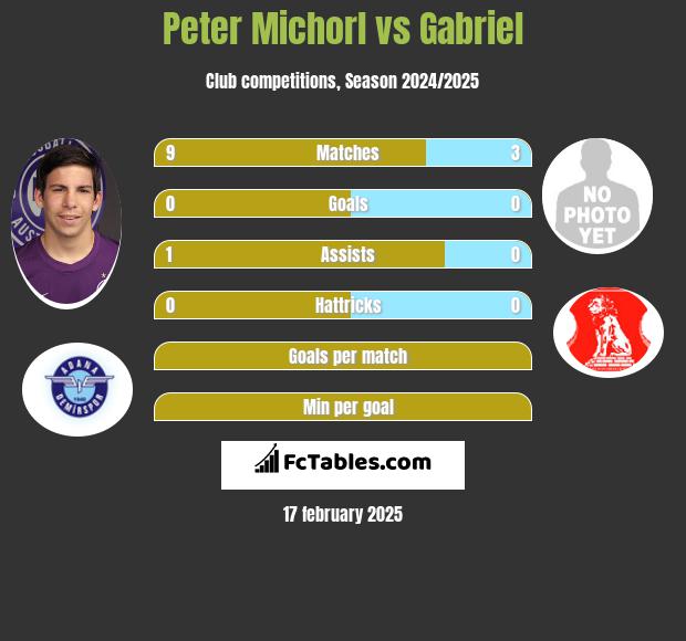 Peter Michorl vs Gabriel h2h player stats