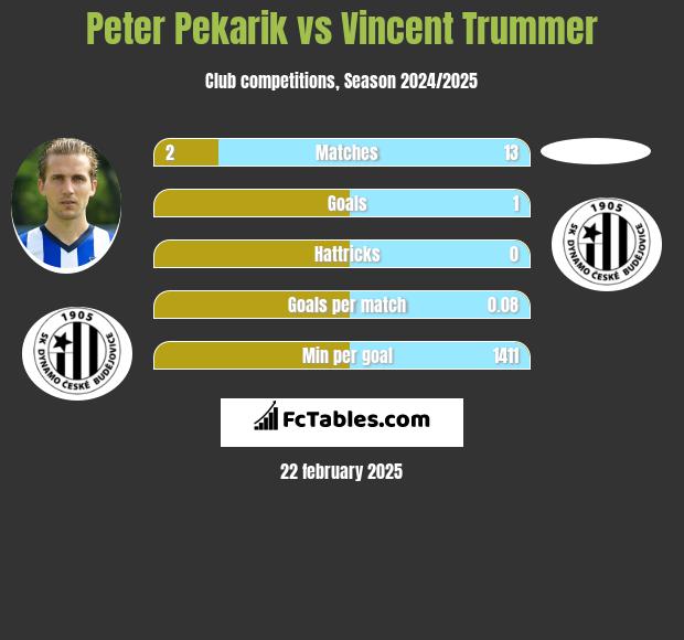 Peter Pekarik vs Vincent Trummer h2h player stats