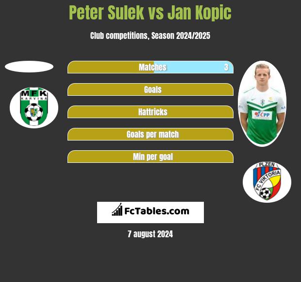 Peter Sulek vs Jan Kopic h2h player stats