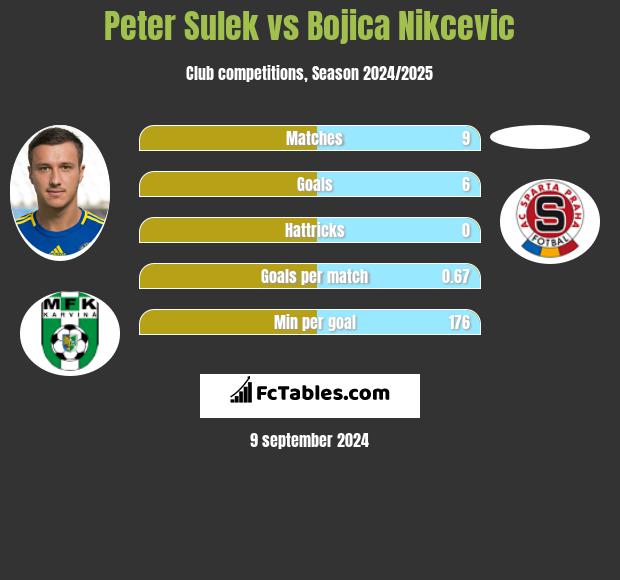 Peter Sulek vs Bojica Nikcevic h2h player stats