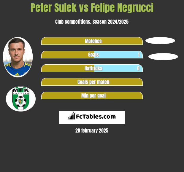 Peter Sulek vs Felipe Negrucci h2h player stats