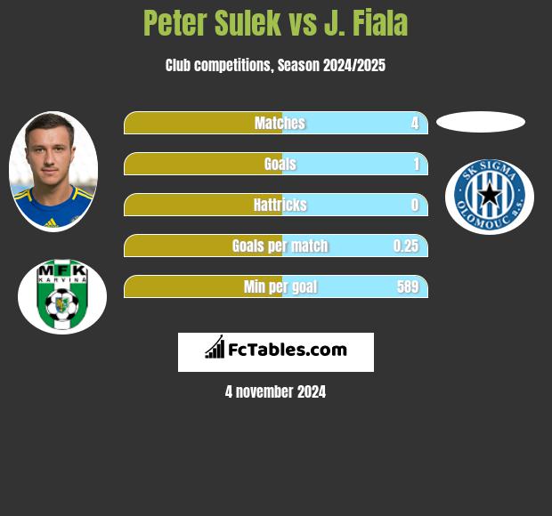 Peter Sulek vs J. Fiala h2h player stats