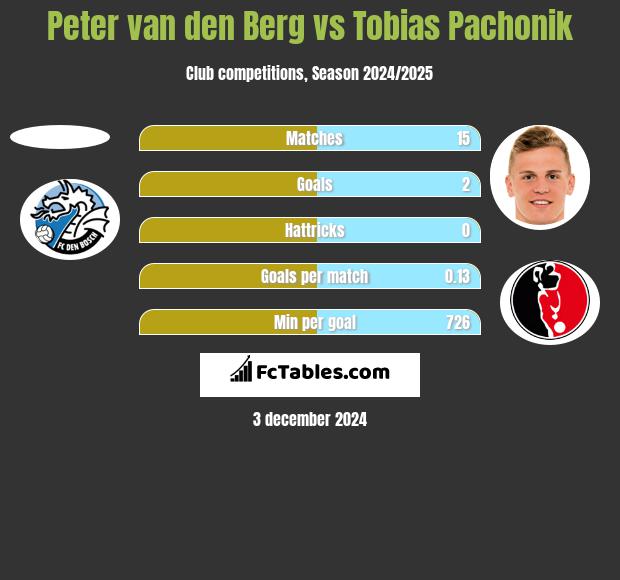 Peter van den Berg vs Tobias Pachonik h2h player stats