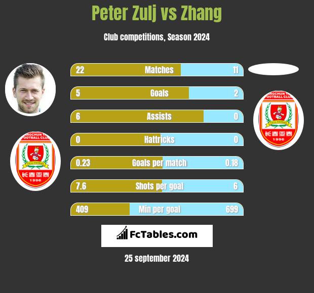 Peter Zulj vs Zhang h2h player stats