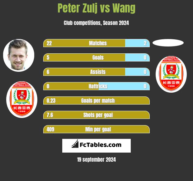 Peter Zulj vs Wang h2h player stats