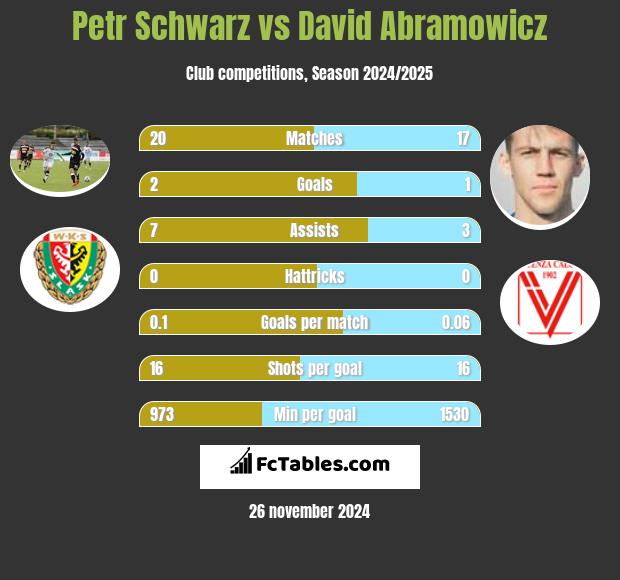 Petr Schwarz vs David Abramowicz h2h player stats