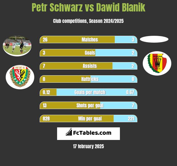 Petr Schwarz vs Dawid Blanik h2h player stats