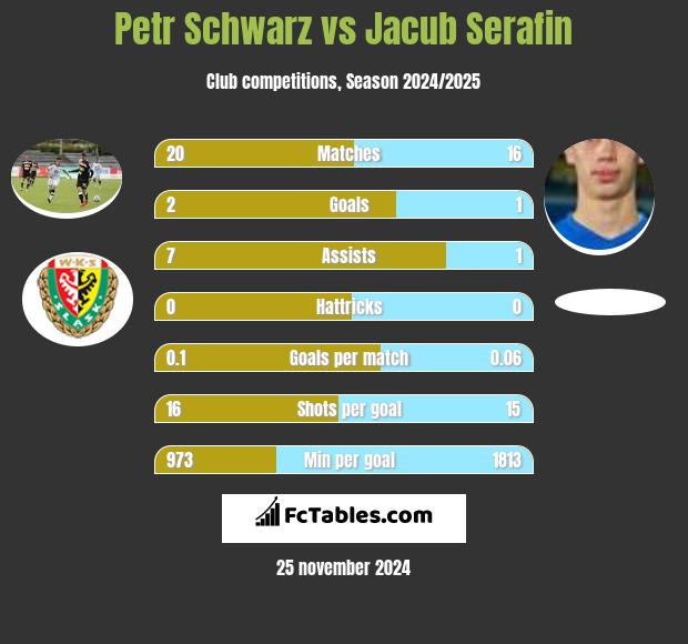 Petr Schwarz vs Jacub Serafin h2h player stats