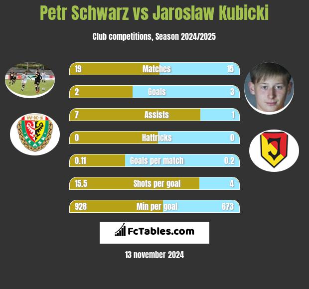 Petr Schwarz vs Jarosław Kubicki h2h player stats