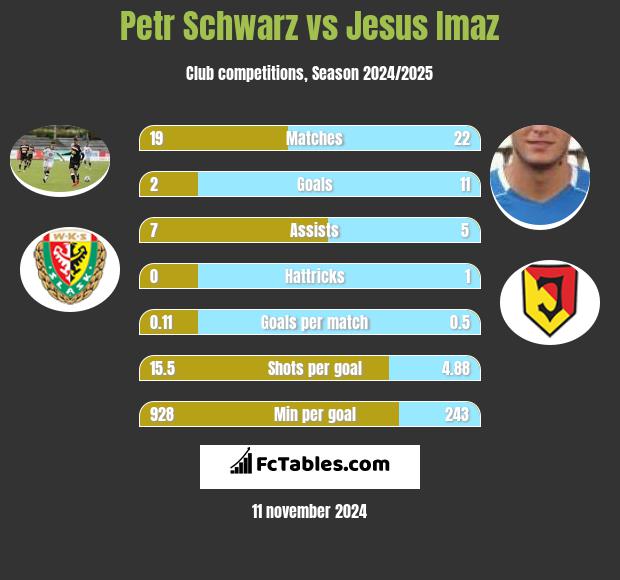 Petr Schwarz vs Jesus Imaz h2h player stats