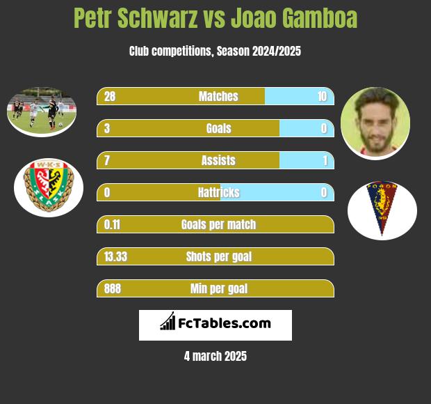 Petr Schwarz vs Joao Gamboa h2h player stats