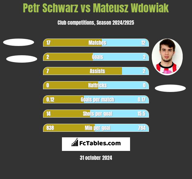 Petr Schwarz vs Mateusz Wdowiak h2h player stats