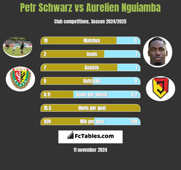 Petr Schwarz vs Aurelien Nguiamba h2h player stats