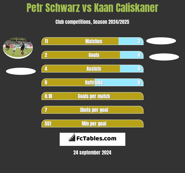 Petr Schwarz vs Kaan Caliskaner h2h player stats