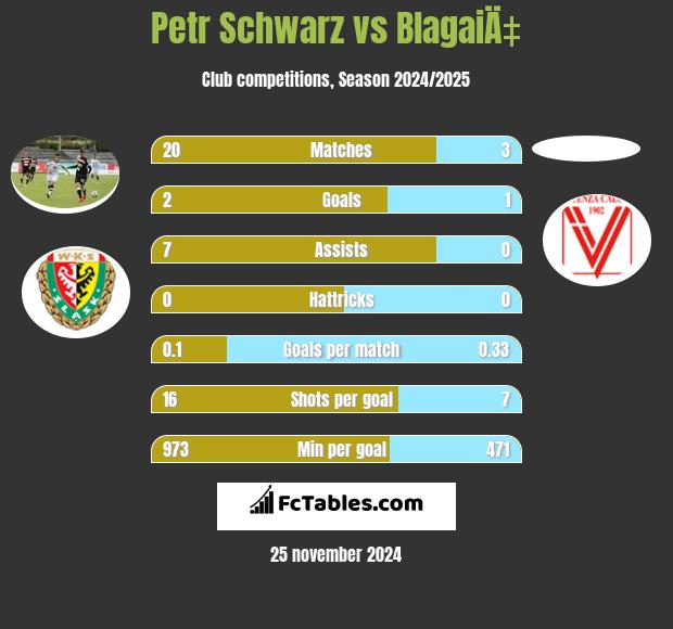 Petr Schwarz vs BlagaiÄ‡ h2h player stats