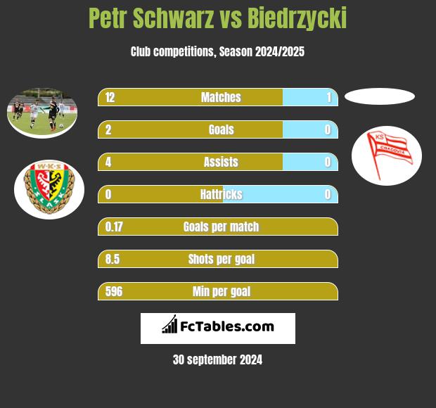 Petr Schwarz vs Biedrzycki h2h player stats