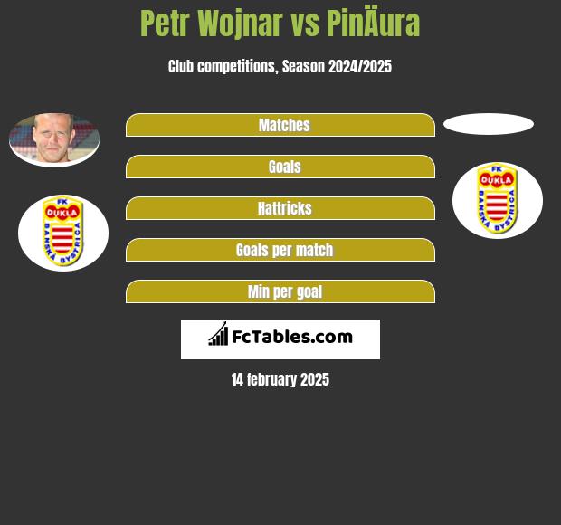 Petr Wojnar vs PinÄura h2h player stats