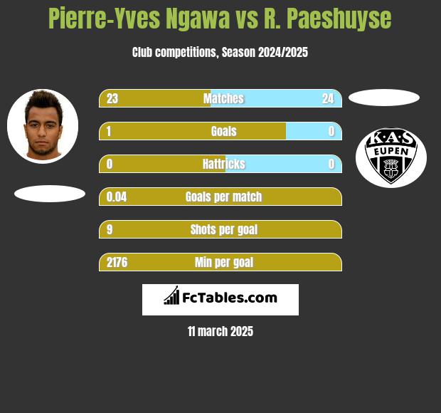 Pierre-Yves Ngawa vs R. Paeshuyse h2h player stats