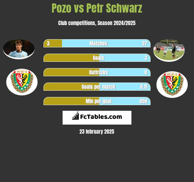 Pozo vs Petr Schwarz h2h player stats