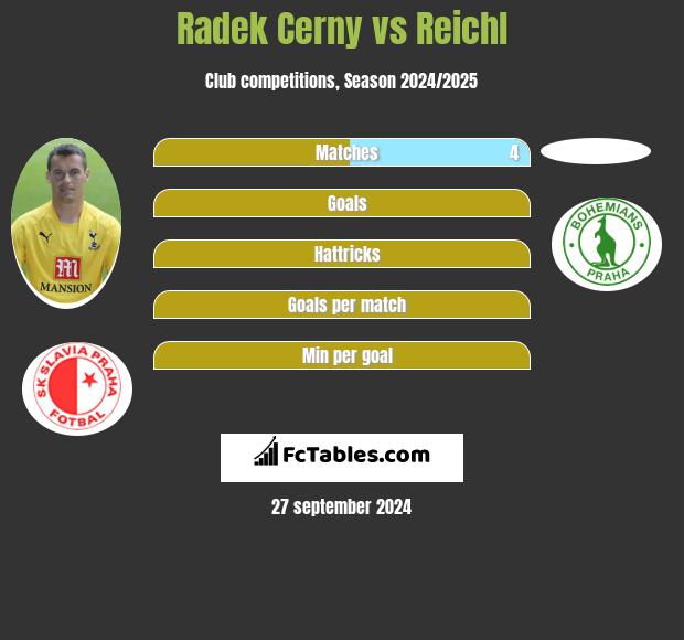 Radek Cerny vs Reichl h2h player stats