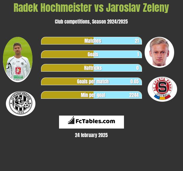 Radek Hochmeister vs Jaroslav Zeleny h2h player stats