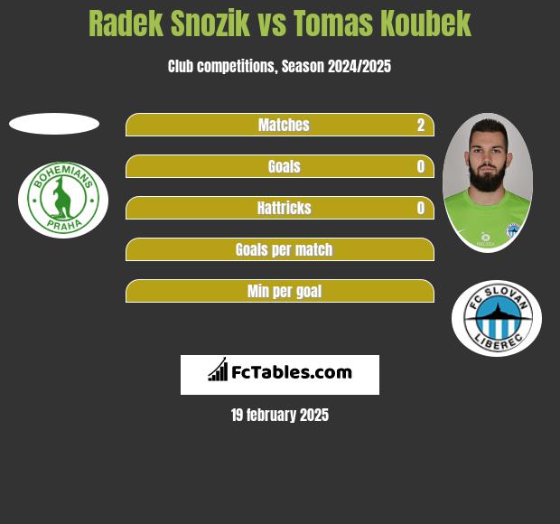 Radek Snozik vs Tomas Koubek h2h player stats