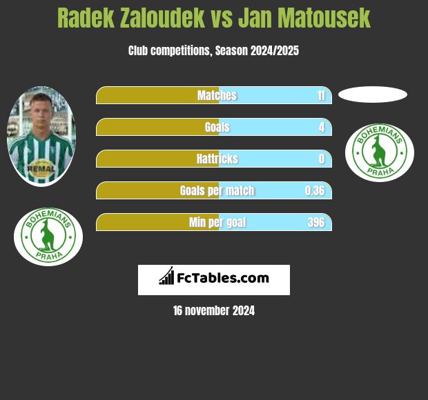 Radek Zaloudek vs Jan Matousek h2h player stats