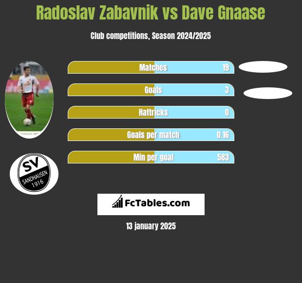 Radoslav Zabavnik vs Dave Gnaase h2h player stats