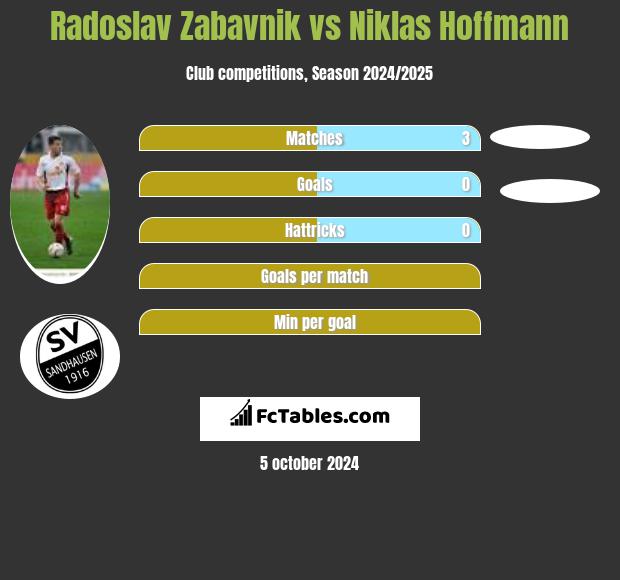 Radoslav Zabavnik vs Niklas Hoffmann h2h player stats