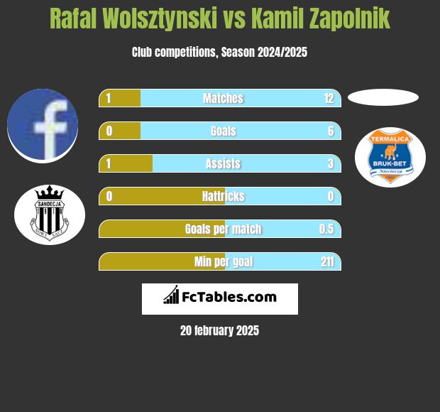 Rafal Wolsztynski vs Kamil Zapolnik h2h player stats