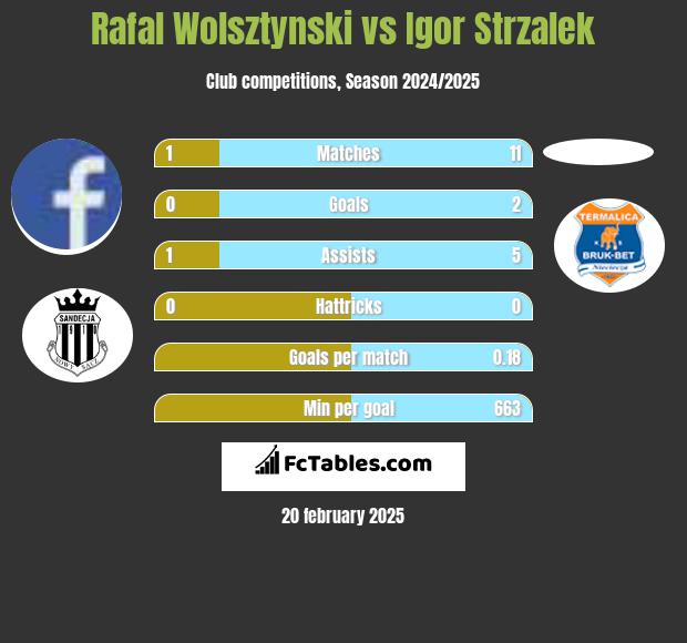 Rafal Wolsztynski vs Igor Strzalek h2h player stats