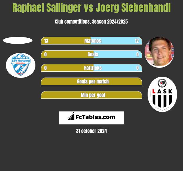 Raphael Sallinger vs Joerg Siebenhandl h2h player stats