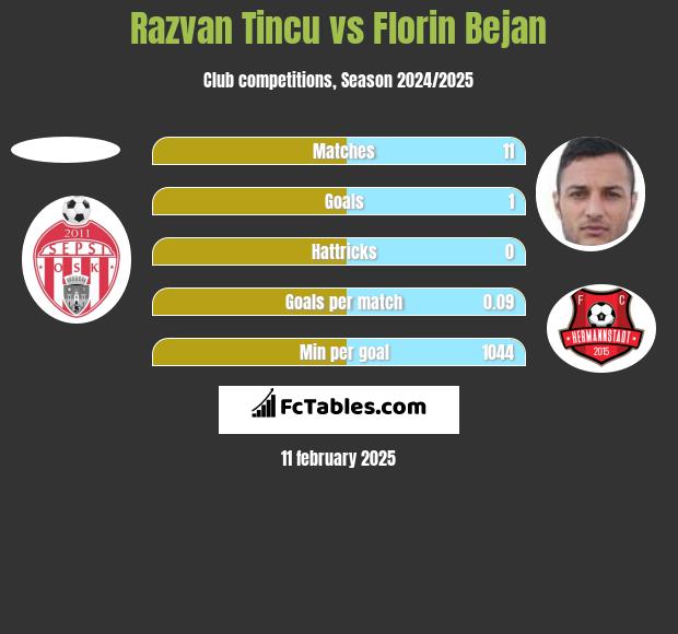 Razvan Tincu vs Florin Bejan h2h player stats