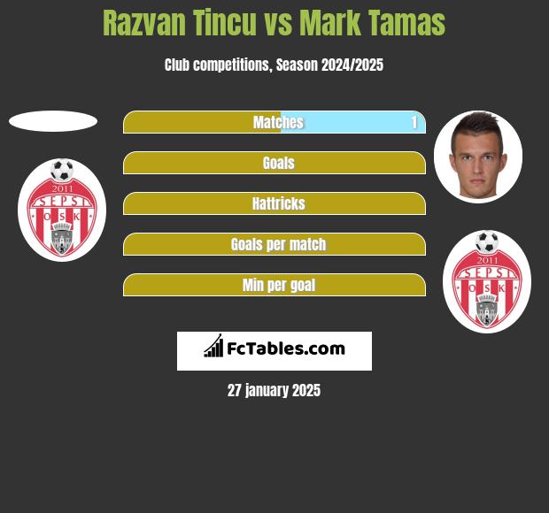 Razvan Tincu vs Mark Tamas h2h player stats