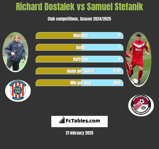 Richard Dostalek vs Samuel Stefanik h2h player stats