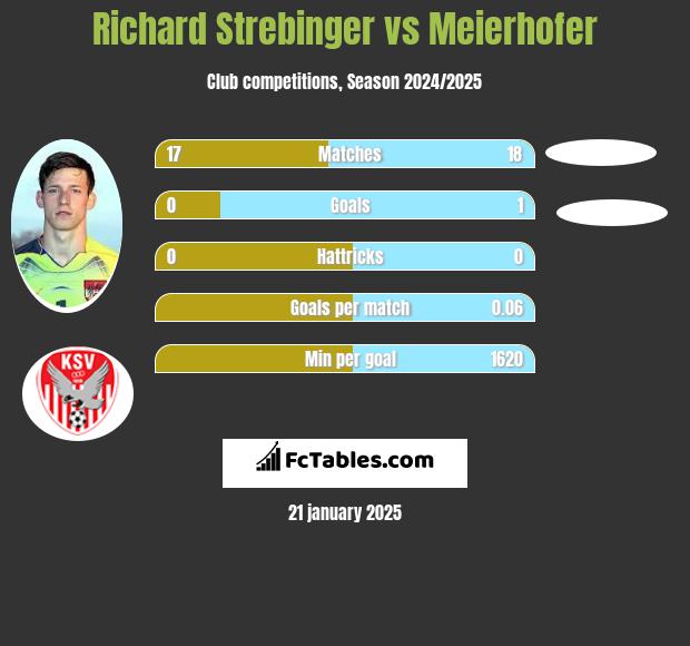 Richard Strebinger vs Meierhofer h2h player stats