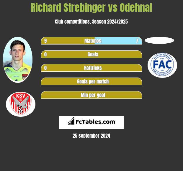 Richard Strebinger vs Odehnal h2h player stats