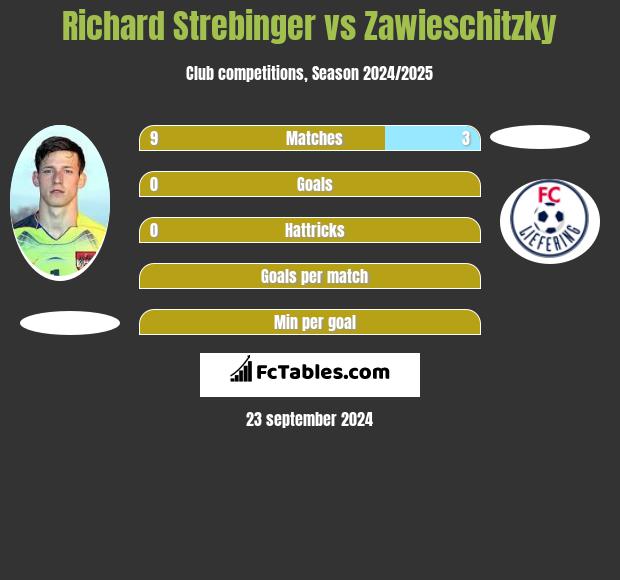 Richard Strebinger vs Zawieschitzky h2h player stats