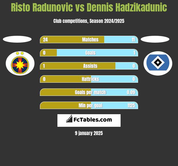 Risto Radunovic vs Dennis Hadzikadunic h2h player stats