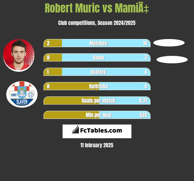 Robert Murić vs MamiÄ‡ h2h player stats