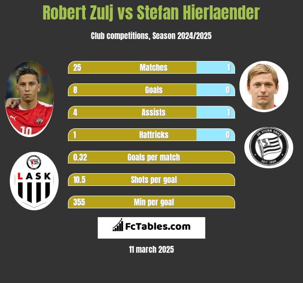 Robert Zulj vs Stefan Hierlaender h2h player stats