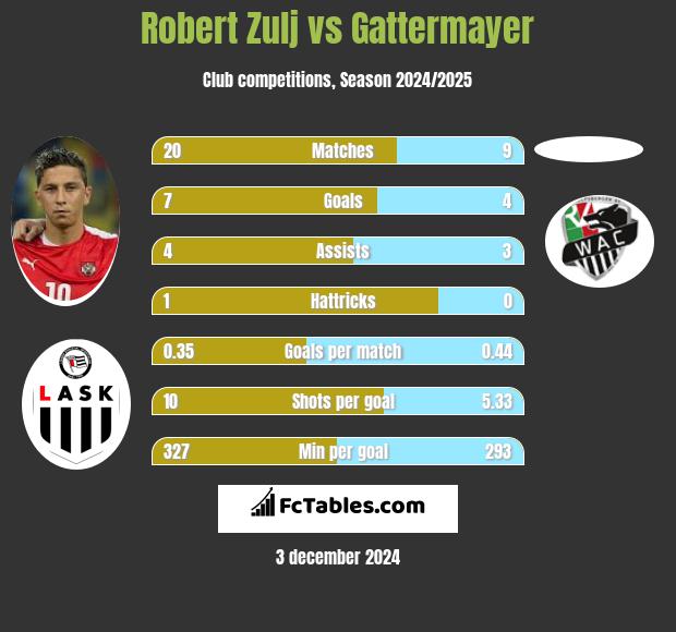 Robert Zulj vs Gattermayer h2h player stats