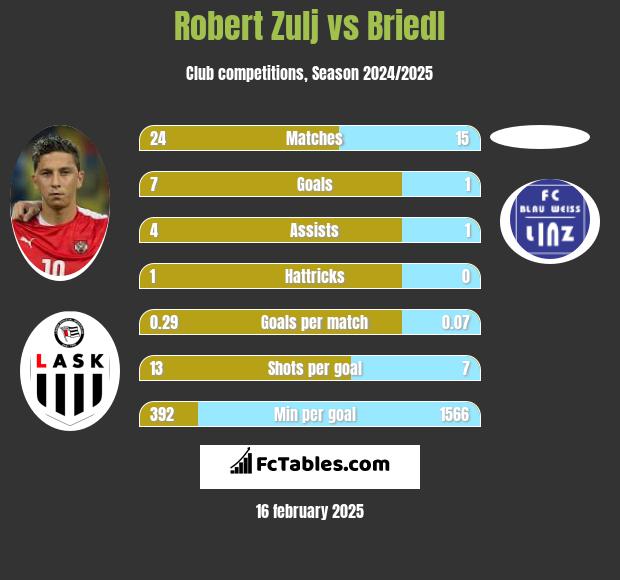 Robert Zulj vs Briedl h2h player stats